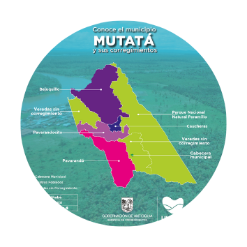 #ffc107 – 2025-05-24T212408.102